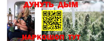 прущие грибы Обнинск