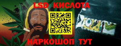 прущие грибы Обнинск