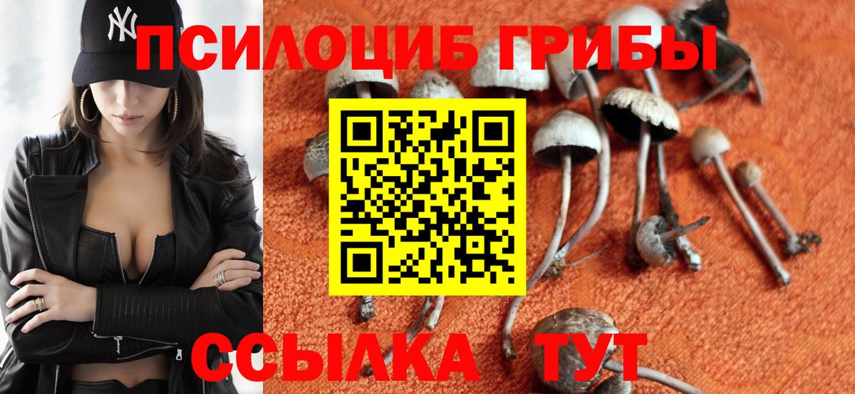 Псилоцибиновые грибы мухоморы  Вход с VPN  Саров  Галлюциногенные грибы прущие грибы 